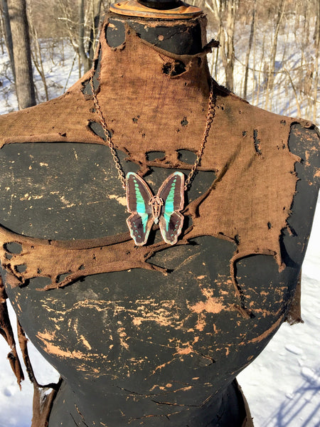 Real Blue Triangle Butterfly Necklace
